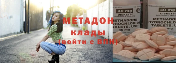индика Богданович