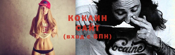 индика Богданович