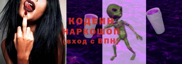 индика Богданович
