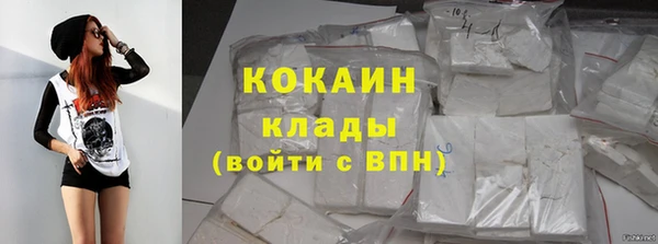 индика Богданович
