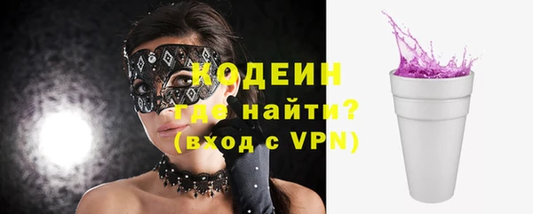 индика Богданович