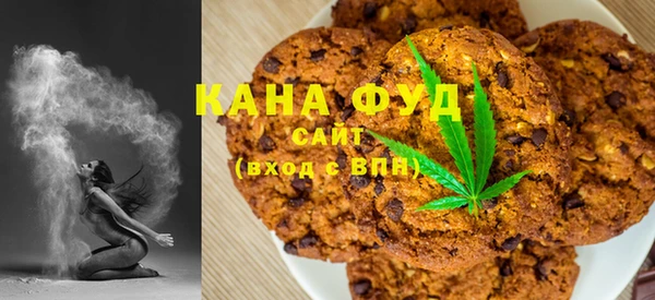 индика Богданович