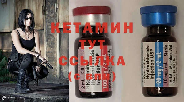 индика Богданович
