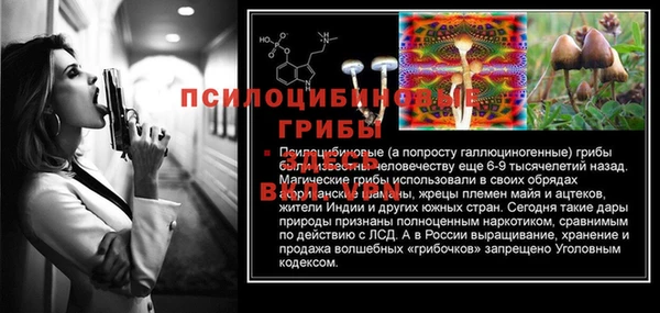 скорость Богородицк