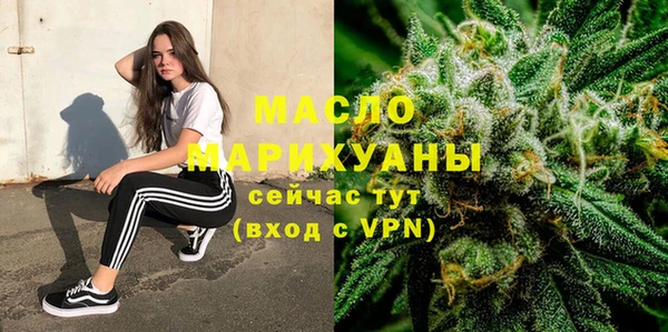 индика Богданович