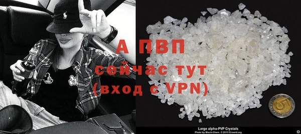 индика Богданович