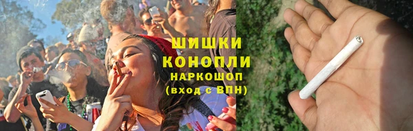 индика Богданович