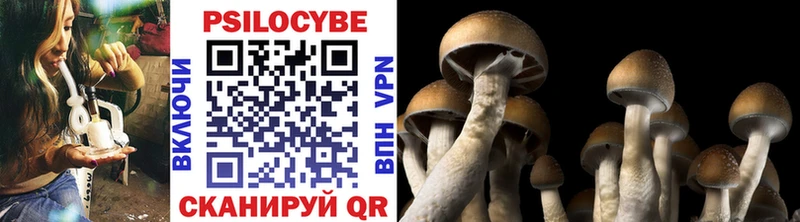 Купить закладки  Николаевск-на-Амуре  Псилоцибиновые грибы GOLDEN TEACHER 